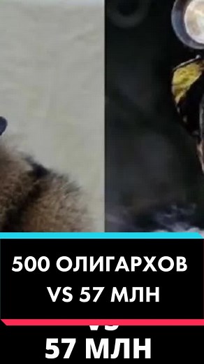 ВСЕГО 500 олигархов теперь владеют 40% всей России. РЕКОРД социального неравенства