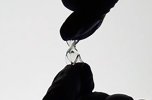 This long-lasting hydrogel could be used to replace damaged human tissues