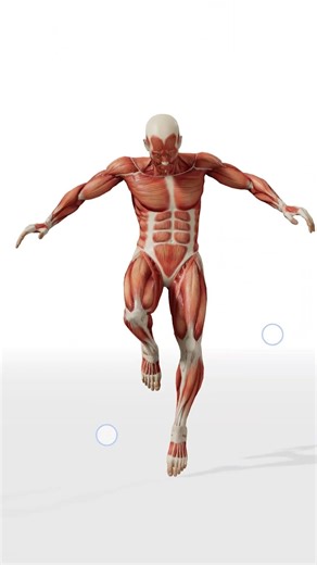 Stop guessing poses ❌ Use these sites to level up your drawings 💪 #arttips #drawing #drawing