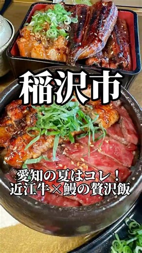 愛知県民の夏は近江牛×鰻ひつまぶし ホルモン×鰻の超ハイスペックなスタミナメニュー 肉究亭ひしめき #愛知グルメ #ひつまぶし #aichifood
