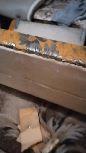 Esēnija (@esenijamihejeva)’s videos with original sound - Esēnija