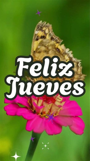Buenos Días ☀️ Feliz Jueves 🌸🦋