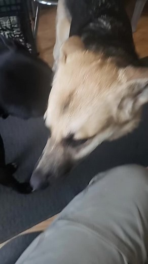 Mark Newman (@broadheadsandbobbers)’s videos with Play Date - Melanie Martinez