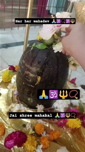 #bageshwardhamsarkar#viral#pradeepmishrajidhankeupay#bhajan#indreshupadhyayji