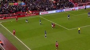 livlei-mo