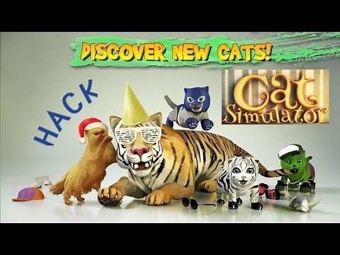 Cat Simulator 2015: Android Gameplay HD
