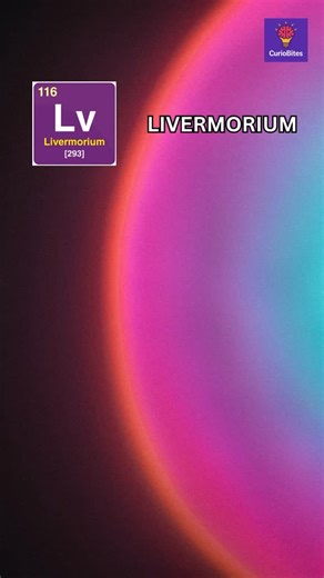 CurioBites on Instagram: "ATOMIC TALES Livermorium (Lv · 116) was first synthesized in 2000 through a collaboration between Russian researchers at Dubna and American scientists at the Lawrence Livermore National Laboratory — the namesake of the element. It sits deep within the superheavy region of the periodic table, where atoms exist for only fractions of a second. Because Livermorium is so unstable, most of what we know comes from theory and brief experimental glimpses. Current predictions pla