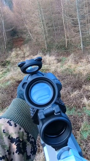 Trykjagt - skyder dådyr på halsen 🦌