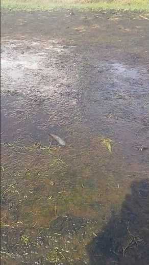 #🐟🐟പൊന്നാനി അണ്ടത്തോട്😀