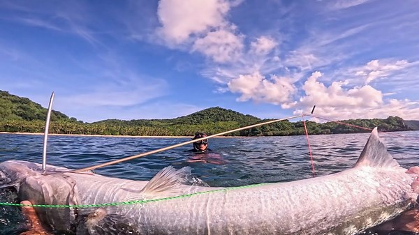 The biggest catch in shallow waters!