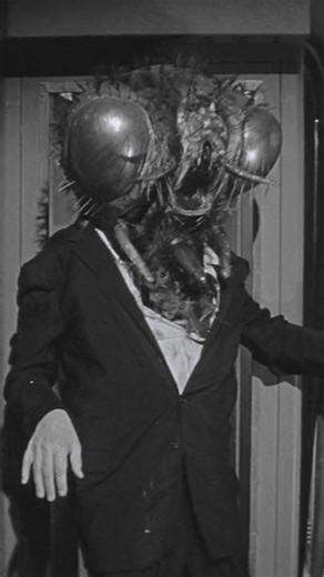 Horror Empire 💀 | Return of the Fly (1959) Return of the Fly is a 1959 American horror science-fiction film and sequel to The Fly (1958). It is the second... | Instagram