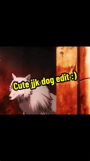 Heartwarming Jujutsu Kaisen Dog Edit
