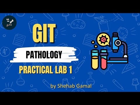 GIT | practical pathology lab (part1)