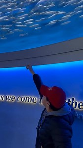 845K views · 34K reactions | Alguien se ha tomado muy enserio seguir a Jesús… | The Chosen Latino | Facebook