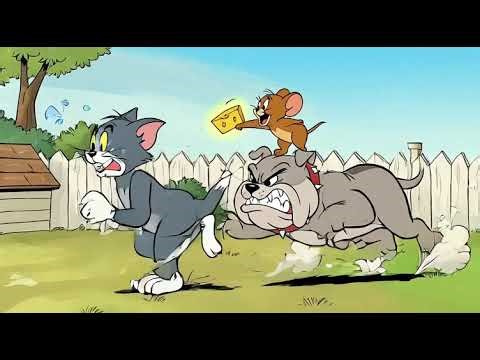 Tom & Jerry Bulldog Ride Chaos | Classic Cartoon Chase Scene #videos