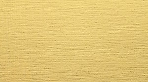 ¡El papel tapiz no tejido es la mejor alternativa al papel tapiz de papel y para pintar!