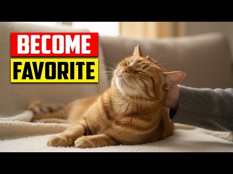 10 Scientific Ways to Get a Cat to Like You