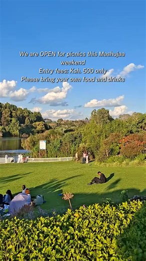Nature escapes for a day trip from Nairobi: discover lakeside picnics and relaxed outdoor moments at Naiposha Gardens in Tigoni, Limuru. #naiposhagardens #fypシ #tiktokke #tiktokkenya #WeekendPlans