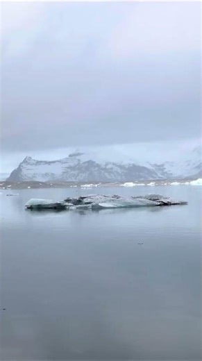 Gazing at Icebergs, Jökulsárlón, Iceland, Arctic Adventures from Alessandro T. 🇮🇸