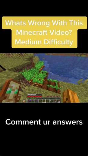 Deciphering the Puzzle: What's Wrong with This Minecraft Video?