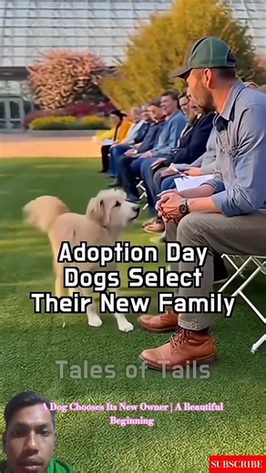 A Dog Chooses Its New Owner | A Beautiful Beginning #cutedog #loyaldog #heartwarmingmoments