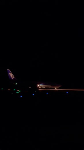 【2025年萩石見空港撮納め】ANA B737-800【JA78AN】着陸 #shorts