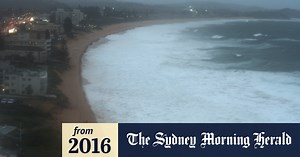 Sydney storms: Narrabeen-Collaroy beach lashed by large seas