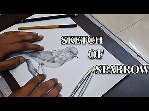 How To Draw Sparrow | Sketch Of Sparrow Bird #youtube #tutorial #drawing