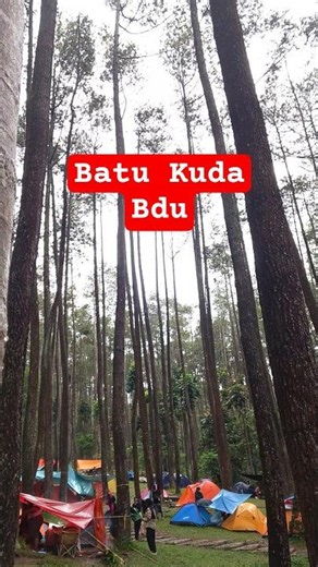wisata hutan pinus batu kuda perhutani BDU #camping
