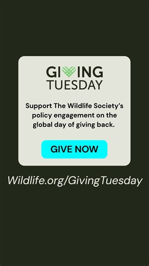 This #GivingTuesday, every contribution, no matter the size, fuels policy advocacy for wildlife and wildlife professionals. Your generosity—regardless of the amount—helps us continue our vital work to advocate for the science that protects wildlife and habitats for future generations. Your support goes to: 🏛️ Meet with Congress for science-driven policy 📣 Amplify the voices of wildlife professionals 🌍 Promote science-based, well-funded management We can't do this alone. Please join us in stre
