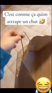 La meilleur astuce pour attraper un chat 🤣 #pourtoi #pourtoii #pourtoipage #foryou #fyp #viral #real #funnyvideos #funny #fyr #drole #humour #humor | Anthony Ledoult