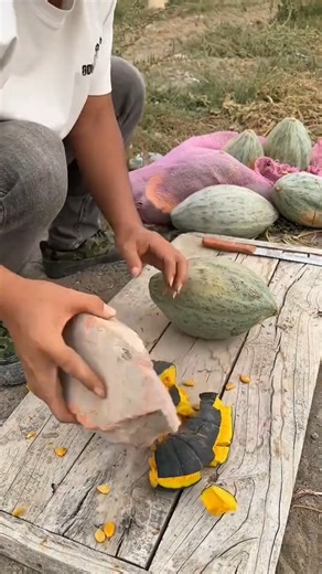 Perfect Pumpkin Seed Harvesting Skill
