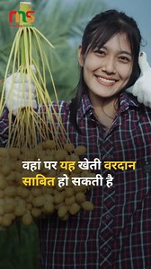 238K views · 1.7K reactions | पीले खजूर की खेती || Yellow Date...