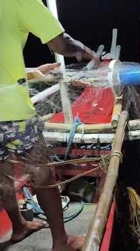 Catching Crab in Philippines Fishing Nets #philippines #crab #fishing #bangka #bluecrab #Masbate