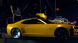 TF Collection | Show.Z Store