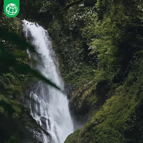 Rwanda's forests and hills are rich in natural resources, but degradation of this landscape has increased. Watch this video to learn how Rwanda is investing in nature to increase climate resilience and create jobs. http://wrld.bg/Nv3i50UtAaN | World Bank