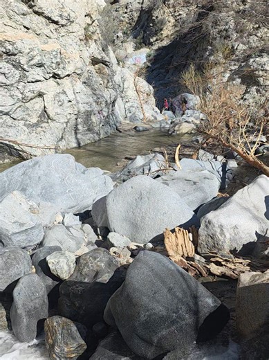 Los Angeles National Forest.🌲💙