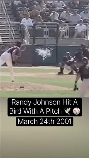Wildest Pitch In Baseball History (Randy Johnson Hits A Bird Mid-Air) 🕊️⚾️ #sports #baseball