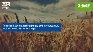 15K views · 27 reactions | Unele dintre cele mai mari provocări ale fermierilor sunt capriciile vremii. Tehnologia XR STAR de la BASF ajută la combaterea bolilor specifice culturilor de cereale și permite aplicarea tratamentului la temperaturi scăzute. https://bit.ly/Decopera_tehnolgia_XR_de_la_BASF și bucură-te de avantaje! | BASF Agricultural Solutions | Facebook