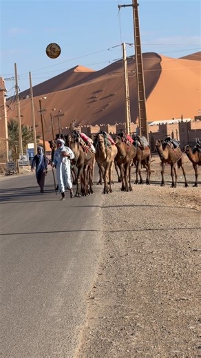 Morocco Nomads Life on Instagram: "3 DAYS TOUR TO MERZOUGA DESERT FROM MARRAKECH Day 1-Marrakech / atlas Mountains / Kasbah Ait Ben Haddou / Ouarzazate / Skoura /Dades Velley. Day 2- Dades /Todra Gorges/jorf / Erfoud / Merzouga (Camel Ride & Night In Desert). Day 3- Merzouga / Erissani / Alnif / Nkob / Agdz / High Atlas Mountains / Marrakech. Feel free to contact us for more information⤵️⤵️ ✅WhatsApp: +212655214794 ✅Tiktok : Morocco nomads life . . . . . . #merzouga #desert #drone #life #travel 