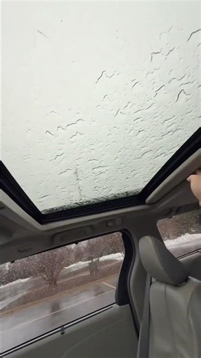 Passenger Entry 2013 Toyota Sienna Limited