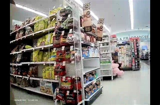 2/4/2026, (Targeted Individuals & Perp TV)Gangstalking PERPS Self Expose Themselves Internet Famous