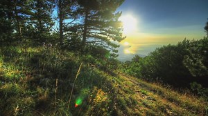 22K views · 289 reactions | What If Money Was No Object - Alan Watts ~What do you desire? What makes you itch? What would you like to do if money were no object? *Video Credits to Tragedy&Hope | The Lion's Roar | Facebook