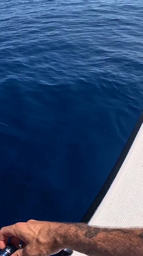 34K views · 4.6K reactions | This bite was crazy! Check it out now on YT Link in bio | Luke McDonald Fishing | Facebook