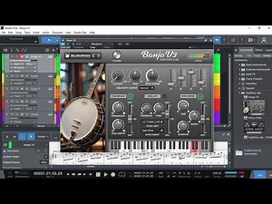 Country / Bluegrass Banjo Virtual Instrument Plugin (MAC/PC VST, VST3, AU)