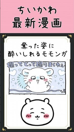 [Latest Chiikawa Manga Episode] Flying squirrel revels in the body he stole... #LatestChiikawaEpi...