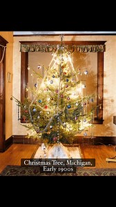 A decorated Christmas tree stands proudly in a Michigan home. Taken in Michigan, early 1900s. #MichiganHistory #VintageChristmas #Early1900s #AntiquePhoto #HolidayTraditions | Memory Lane Photos