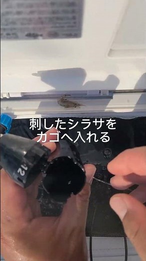 田ノ浦漁港 遠投カゴ釣り fishingmax 和歌山インター店