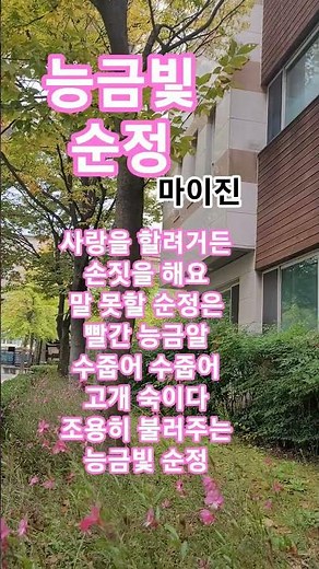 능금빛 순정 #마이진#배호#트로트#1969배호ㆍ최고인기애창곡