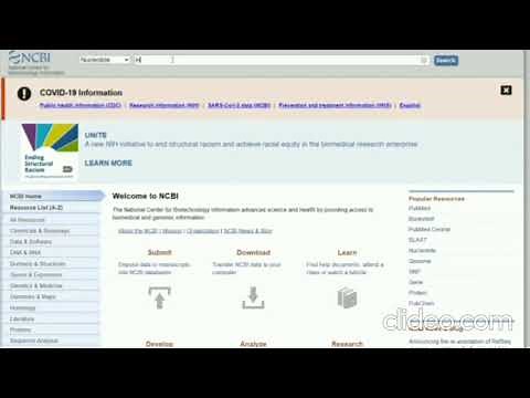 Designing a primer using ApE tool